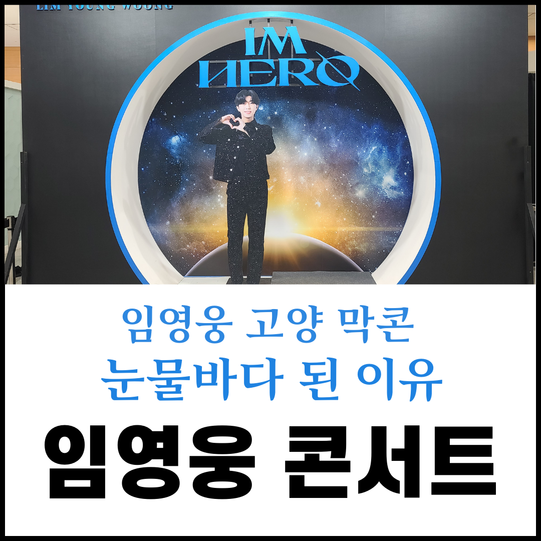 임영웅 콘서트