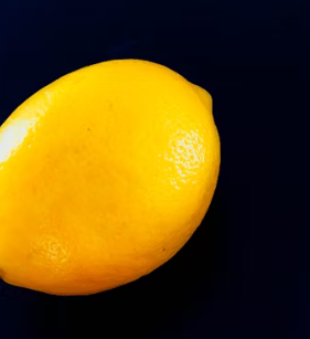 홀베리 유기농 레몬즙 가격 먹는법 후기