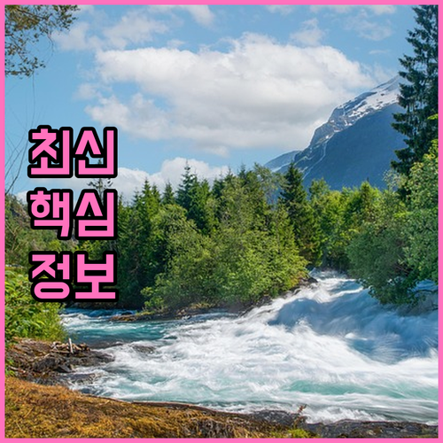개인회생 후 신용 회복 가이드: 신용