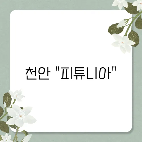 천안 "피튜니아"