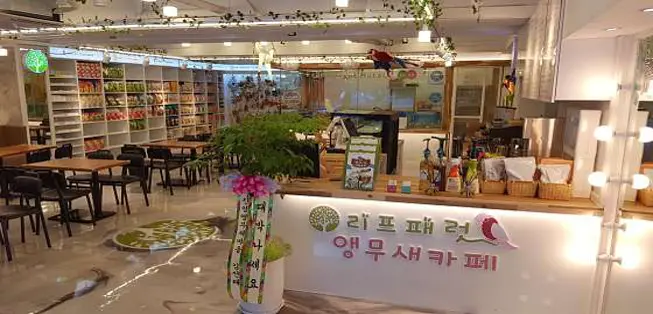 리프패럿 장유점