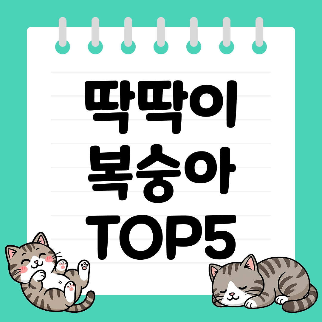딱딱이 복숭아 추천 순위 TOP5