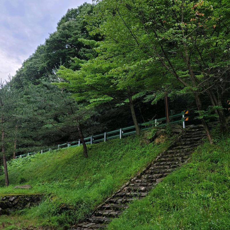 국립덕유산자연휴양림