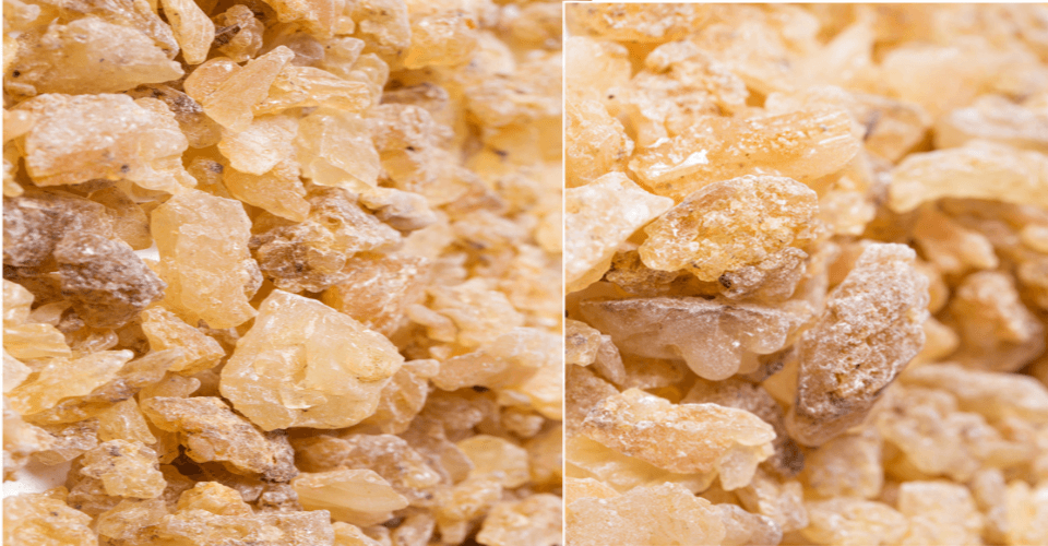 보스웰리아원액