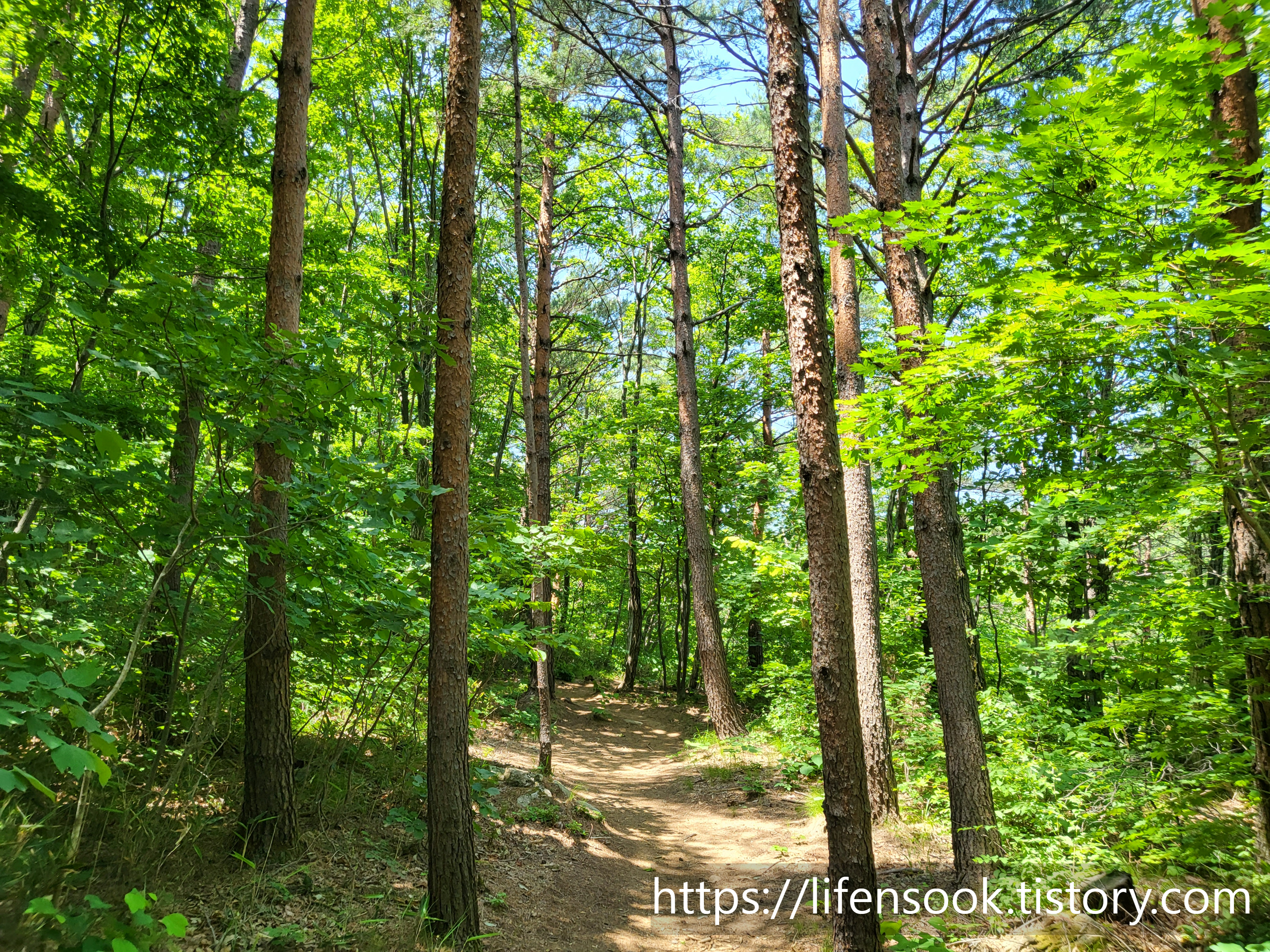 금강산 화암사 산책로 5