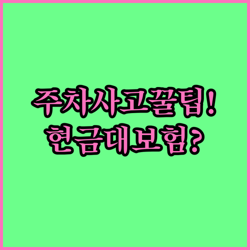 주차장 사고 났을 때 상대방과 현금 ..