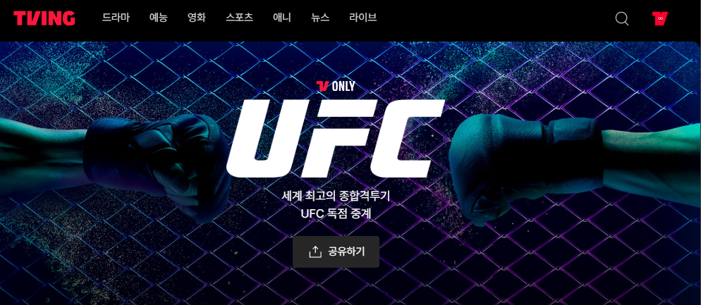 UFC 312