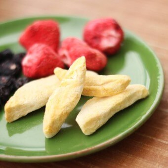 국제 강아지의 날(International Dog Day) 간식 BEST 7 추천!