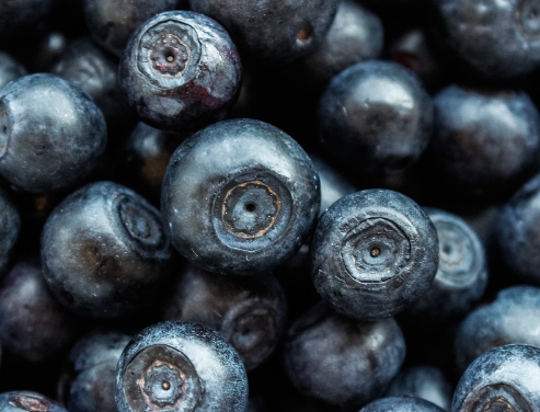 시력 노화방지에 좋은 최고음식 블루베리