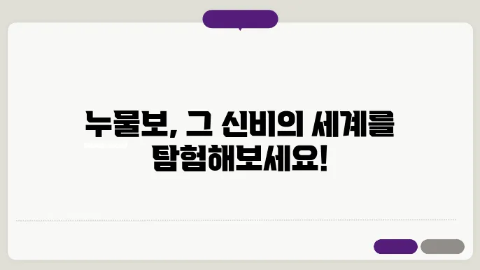 현대의 누물보