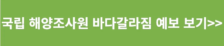 국립해양조사원 바다갈라짐 예보보기