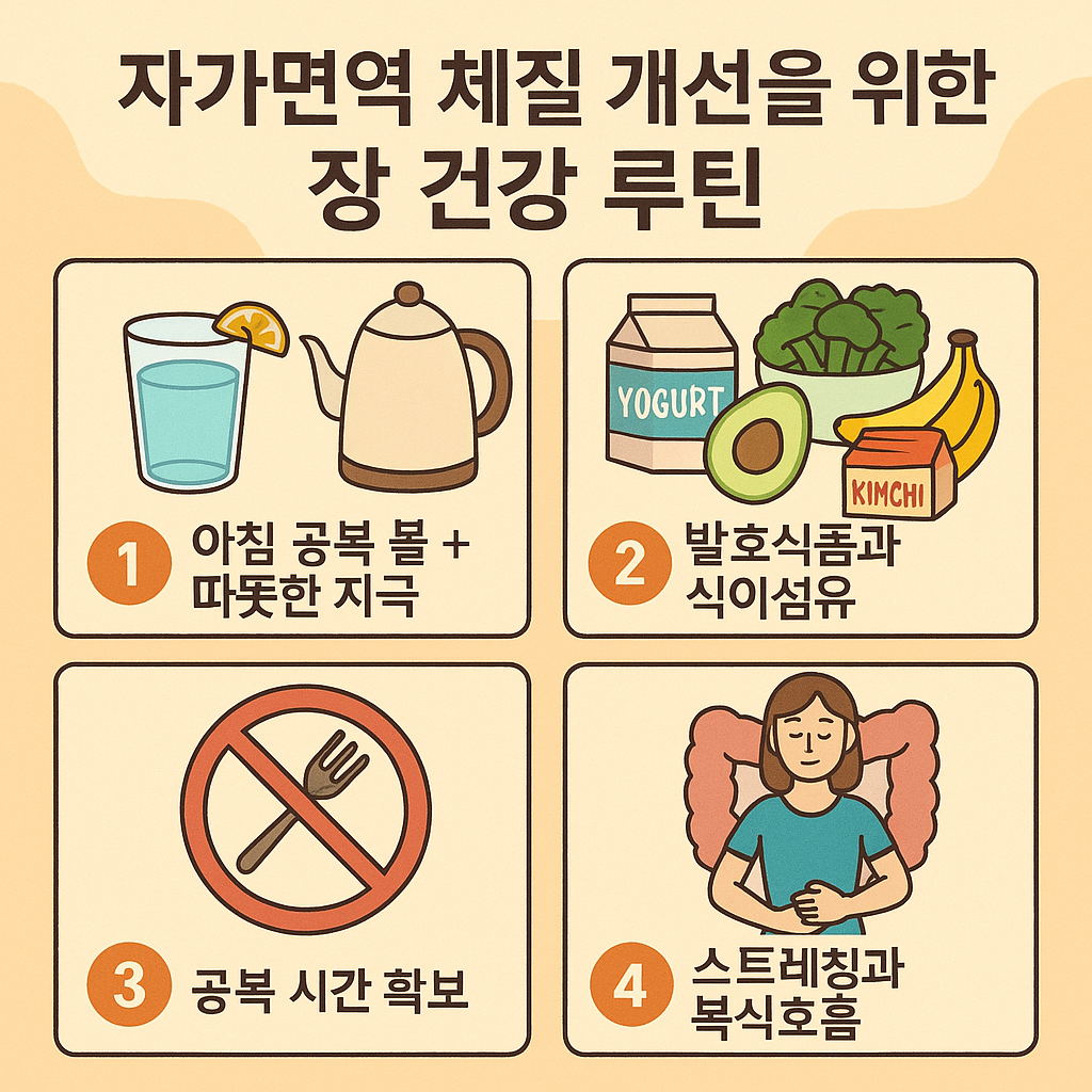 자가면역 체질 개선을 위한 장 건강 루틴을 요약한 일러스트입니다.