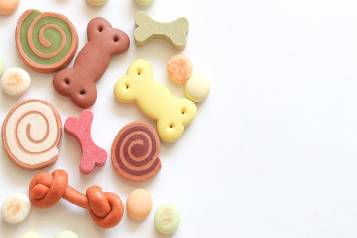 강아지 우유껌 사진