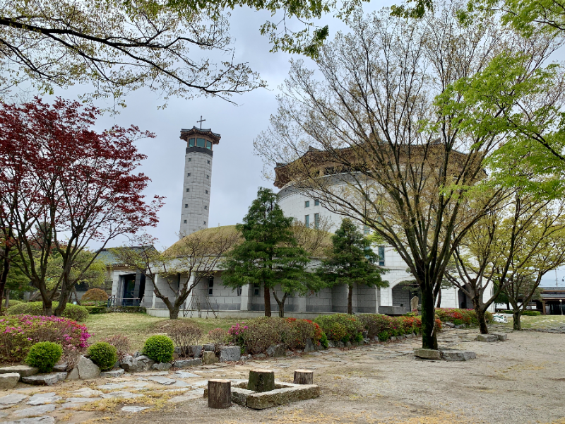 성지를 돌며 날이 밝았다.