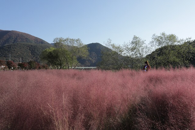 제주도 11월 축제