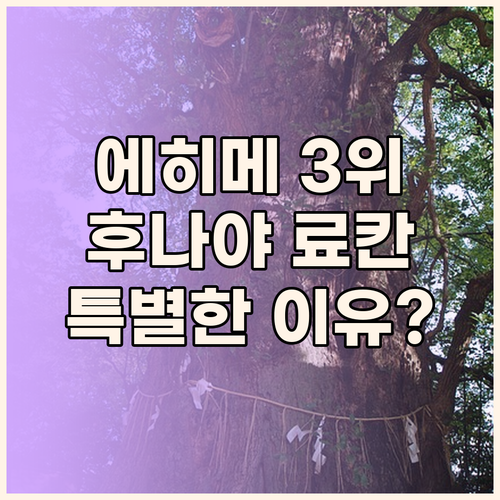 에히메 현 3위! 료칸 후나야, 특별