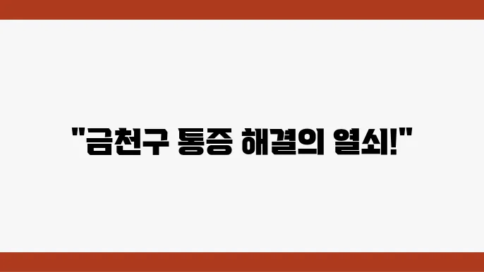 서울시 금천구 병원 환자의 치료 사례
