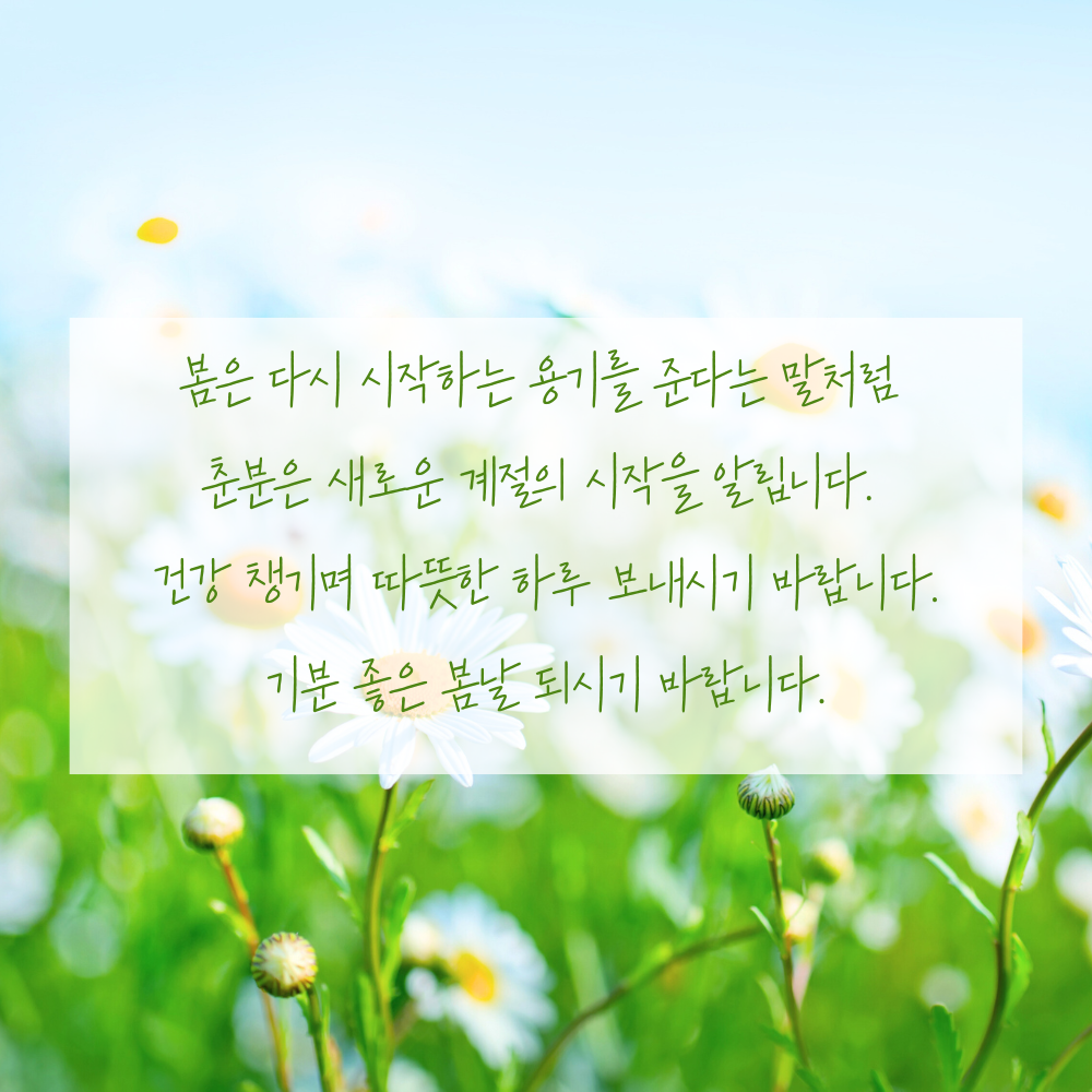 춘분 인사말 봄 안부 인사글귀 좋은 3월 인사이미지 문구 모음