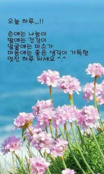 아침 인사 문자 날씨 변화에 맞춘 안부 문장 하루를 여는 표현_10