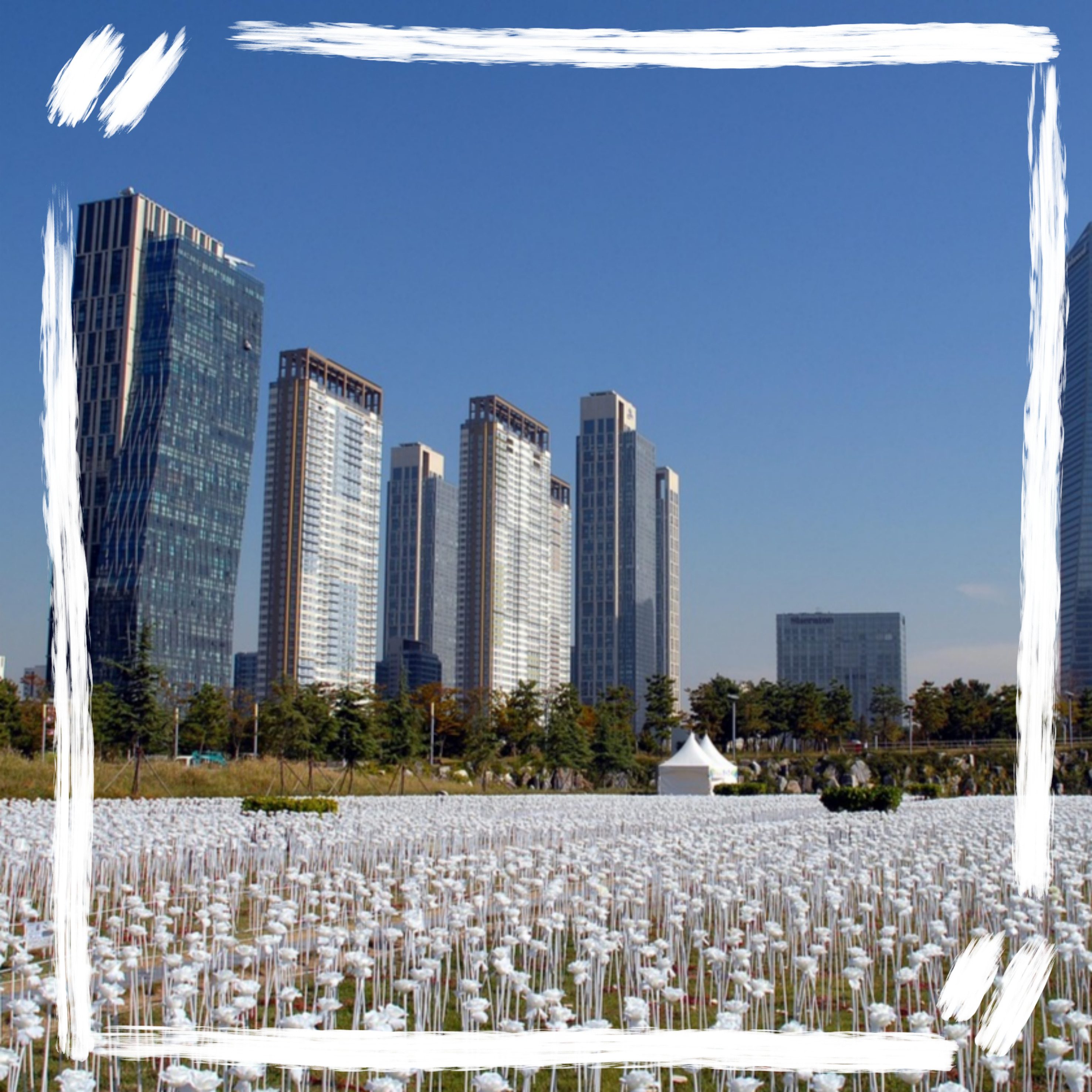 해외 같은 국내 여행지 추천