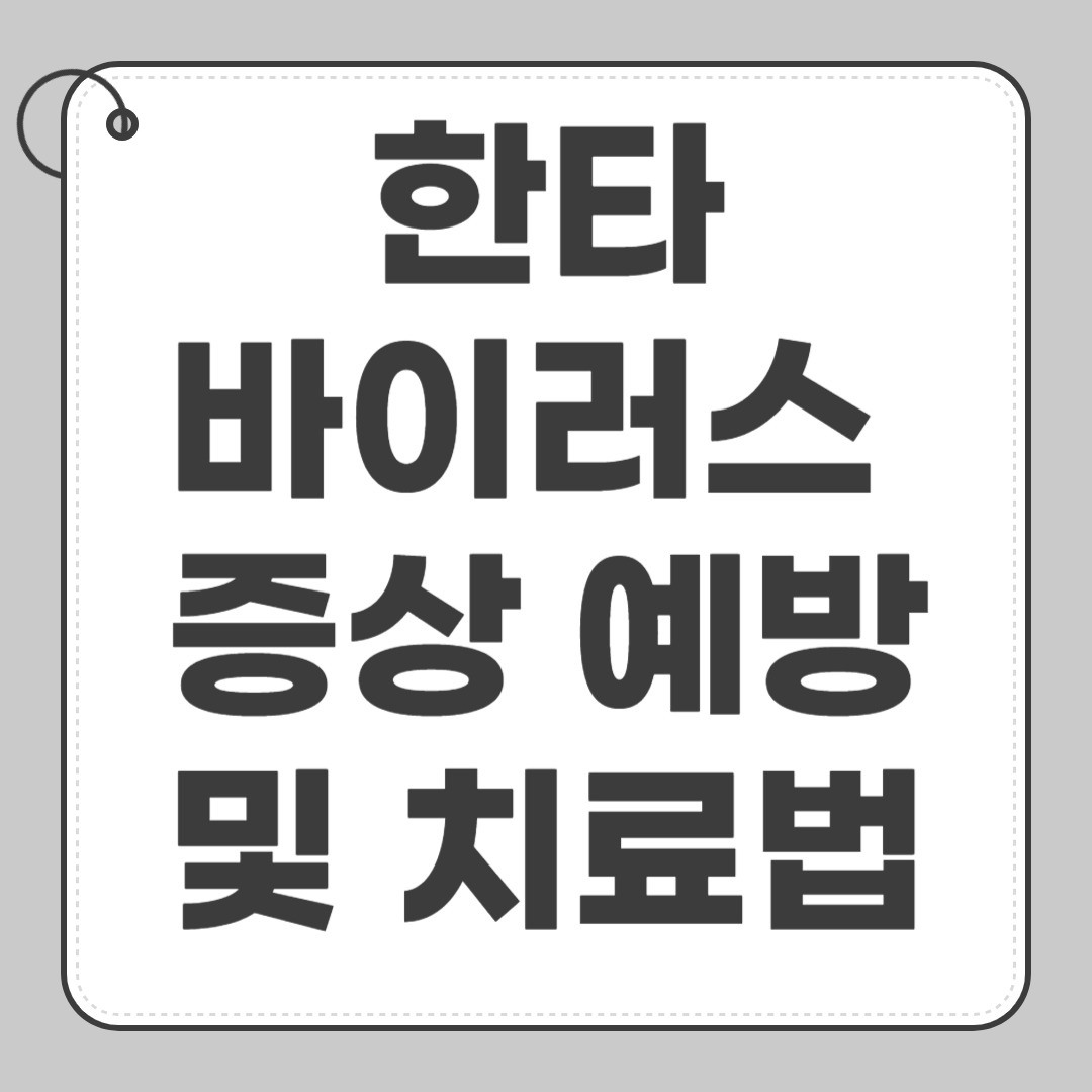 한타 바이러스 증상 예방 및 치료법