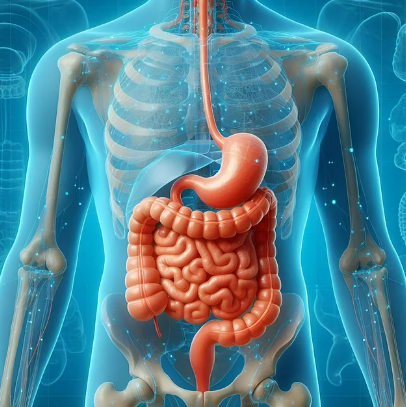 2025년 장 건강 트렌드: 마이크로바이옴이 대세!
