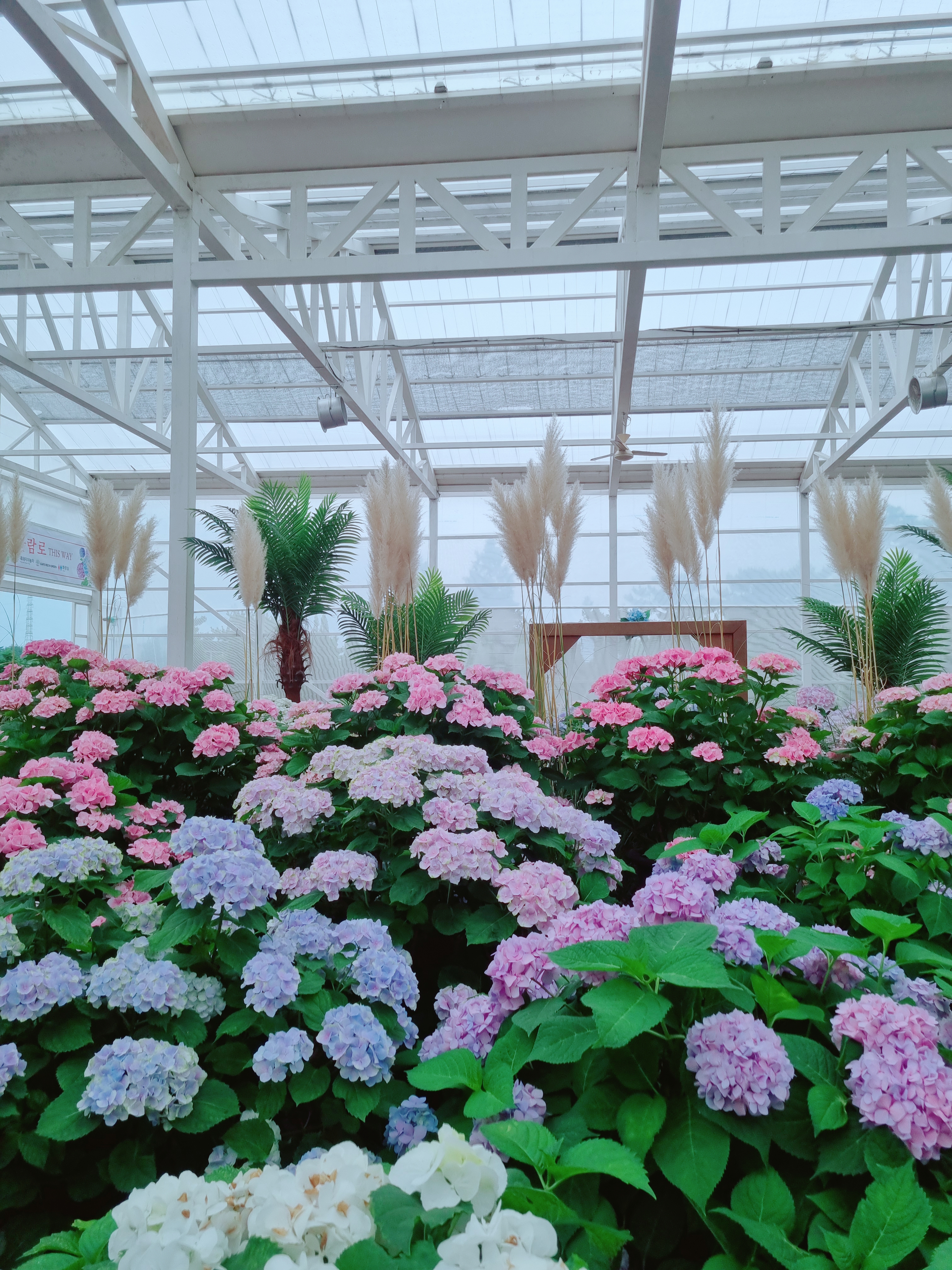 휴애리 자연생활공원