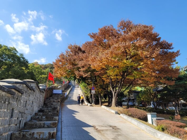 수원&middot;용인 단풍 명소 BEST 5 : 광교호수공원&middot;수원화성&middot;용인민속촌&middot;에버랜드&middot;용인자연휴양림