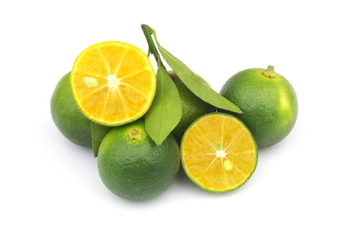 깔라만시의 효능 및 부작용 총정리