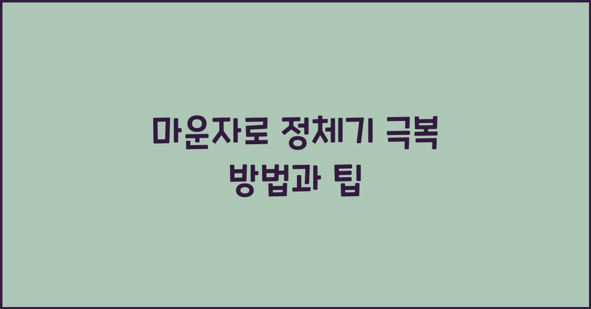 마운자로 정체기