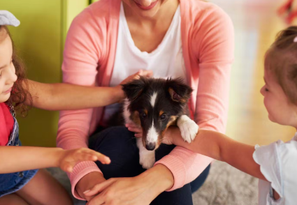 애니멀테라피의 문제점