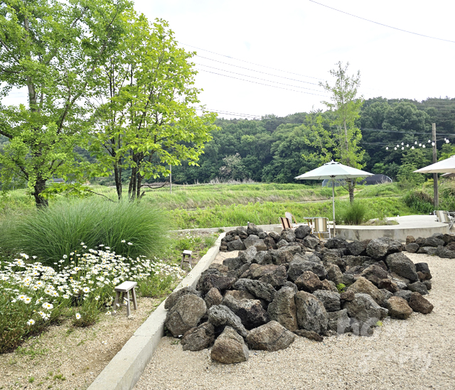 카페-지새울