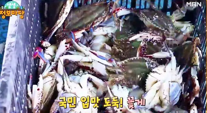 현장치GO 빕도둑 간장게장 꽃게장 게장 경기 평택 맛집 숙연화 꽃게장 추천