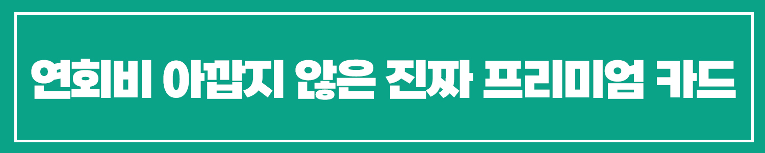 프리미엄 신용카드 순위