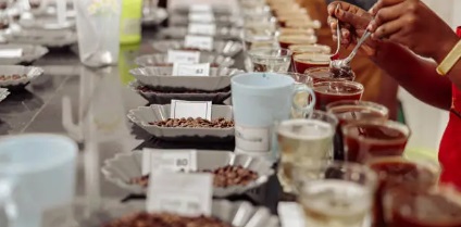 2026년 커피 대회 관련 사진