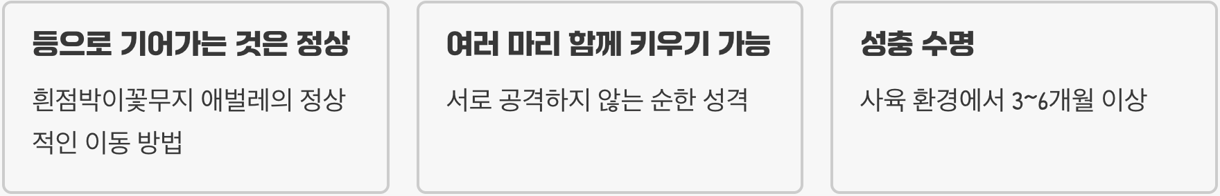 굼벵이가 바로 이 녀석? 흰점박이꽃무지 애벌레 키우기 A to Z