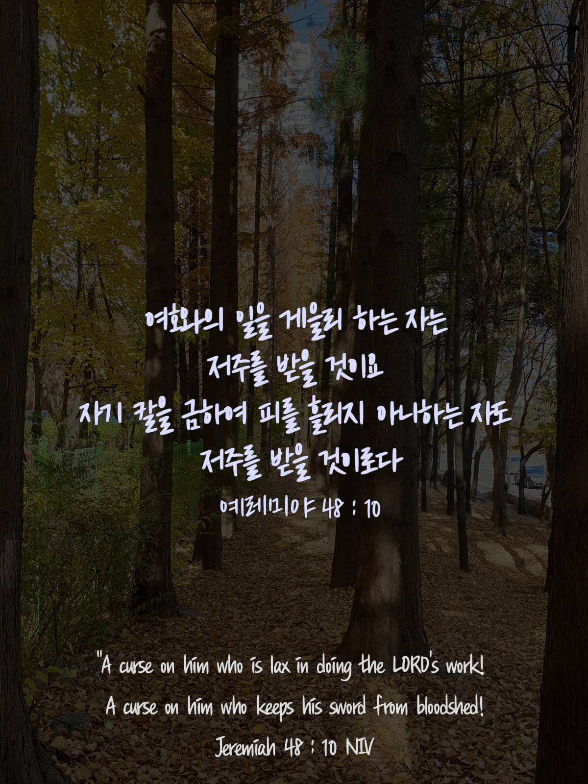 예레미야 48장