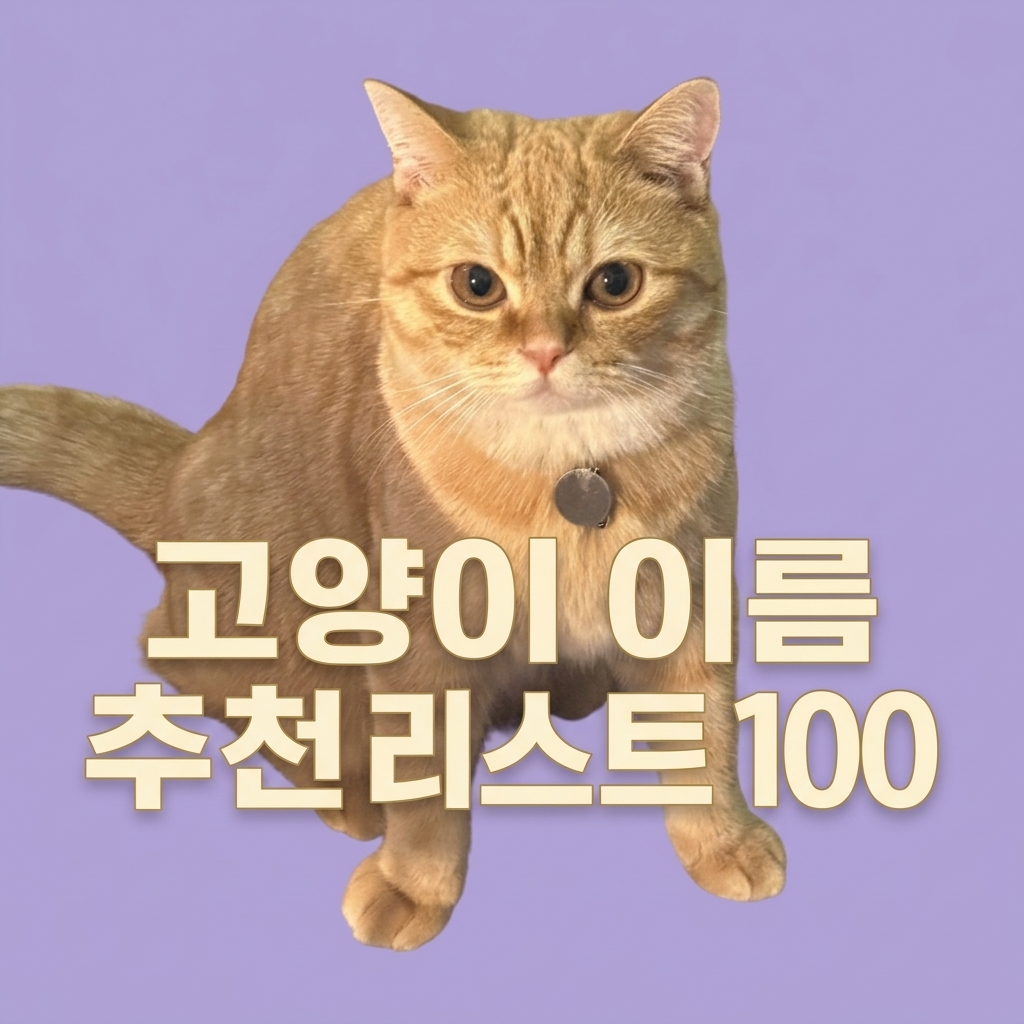 고양이 이름 추천 예시 100가지 리스트 정리