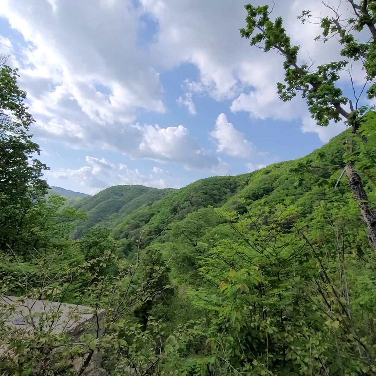 양평설매재자연휴양림