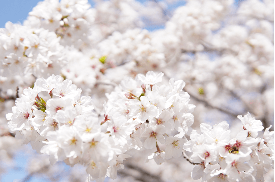 원주 간현관광지