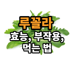 루꼴라
