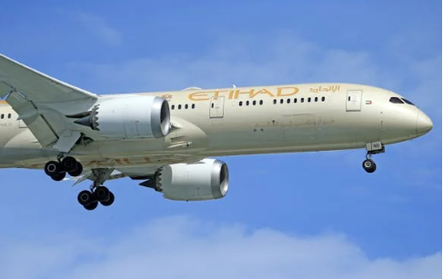 5월 해외여행 뎅기열 비행기