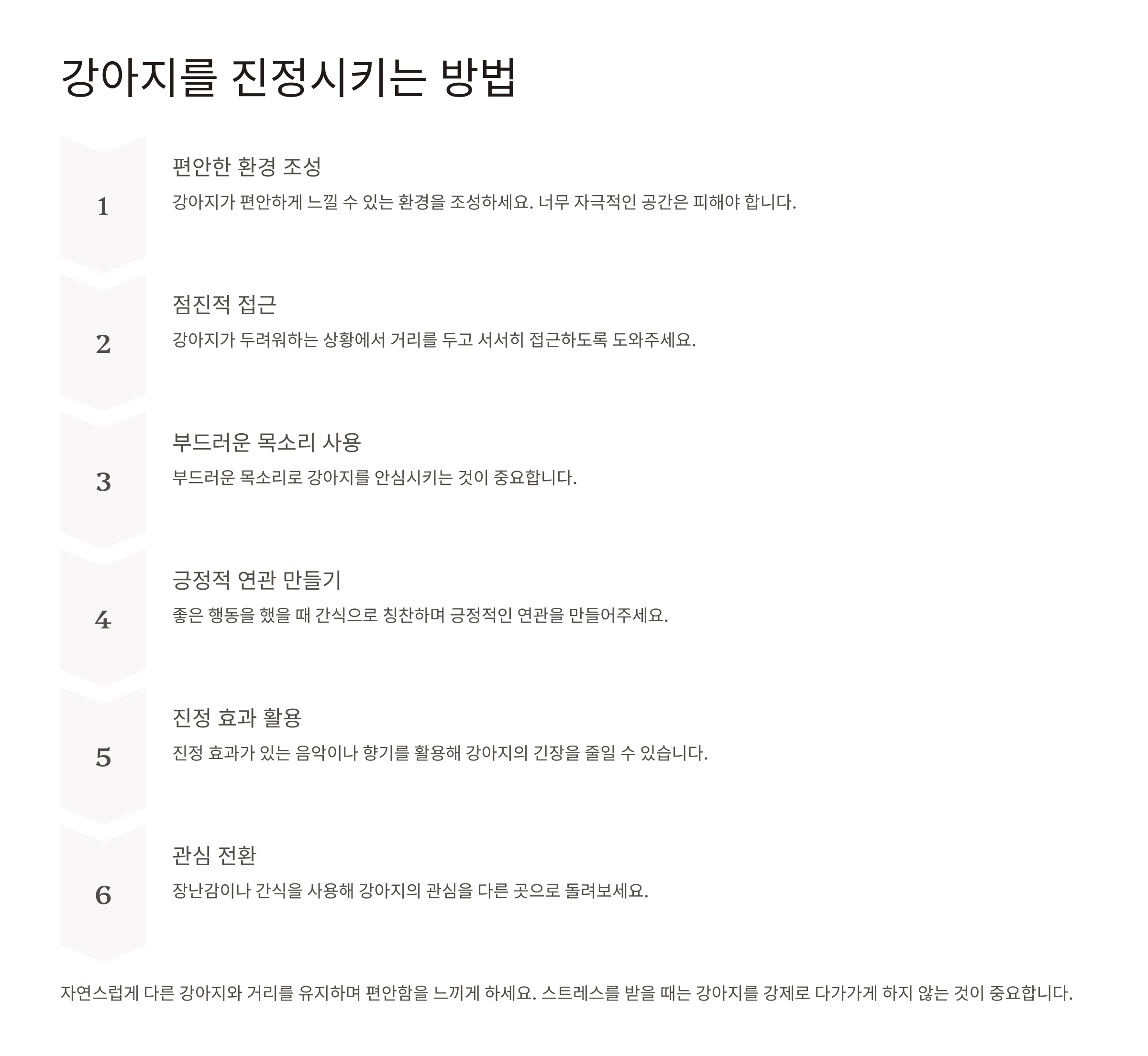 강아지를 진정시키는 방법