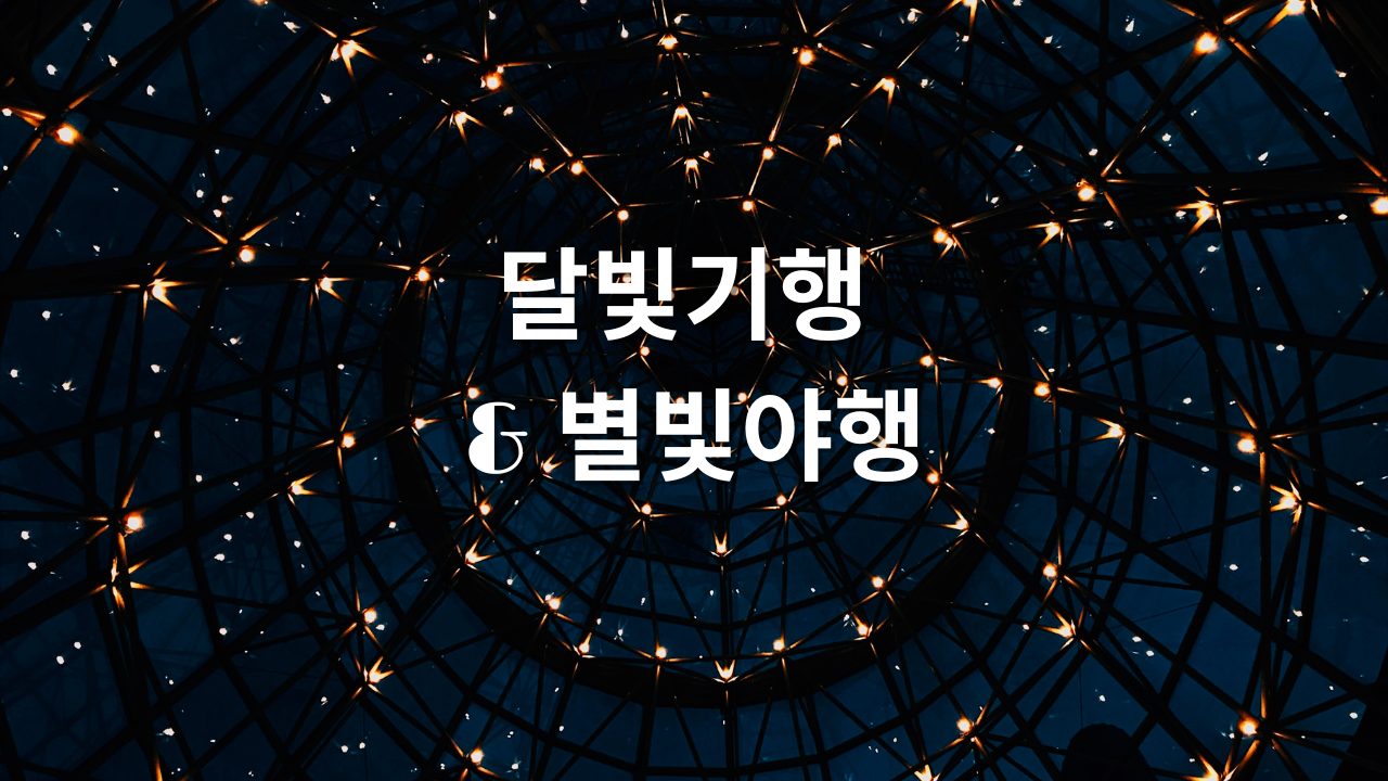 2023 창덕궁 달빛기행 경복궁 별빛야행 예매방법 가격 할인조건