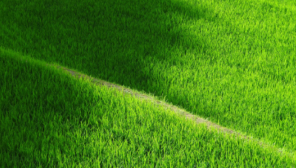 주말농장 준비물 관련 사진