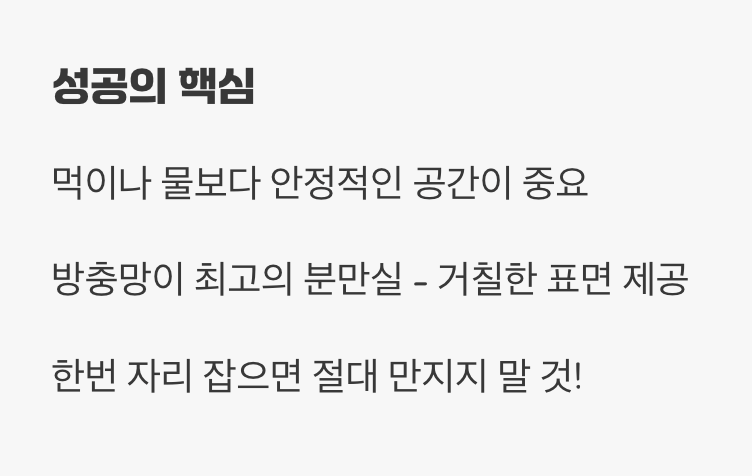 2. 매미를 위한 안전한 분만실, 사육장 꾸미기