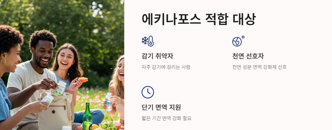 에키나포스 적합 대상