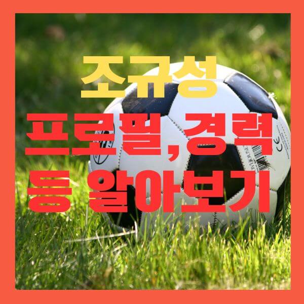 조규성 프로필
