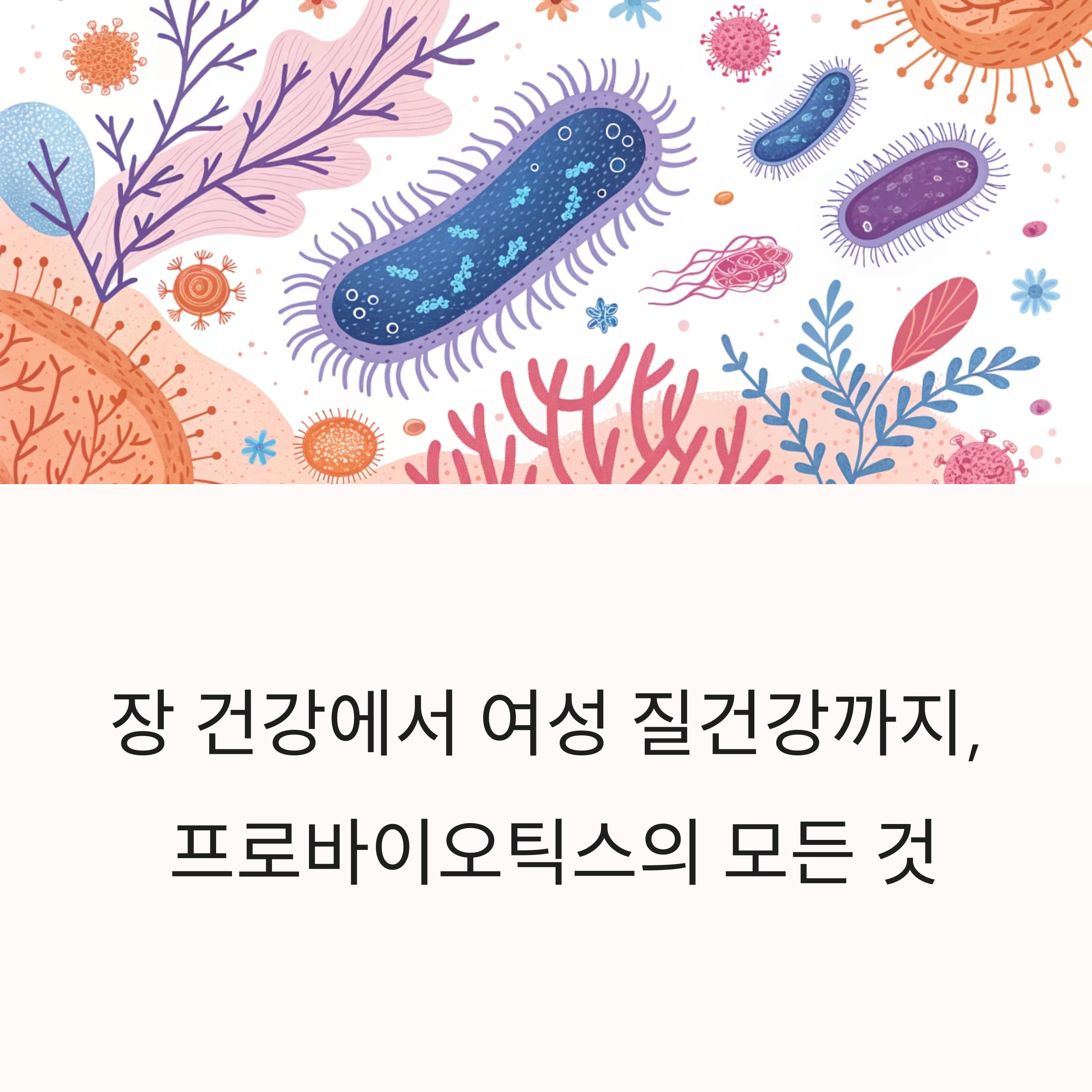 장 건강에서 여성 질건강까지, 프로바이오틱스의 모든 것