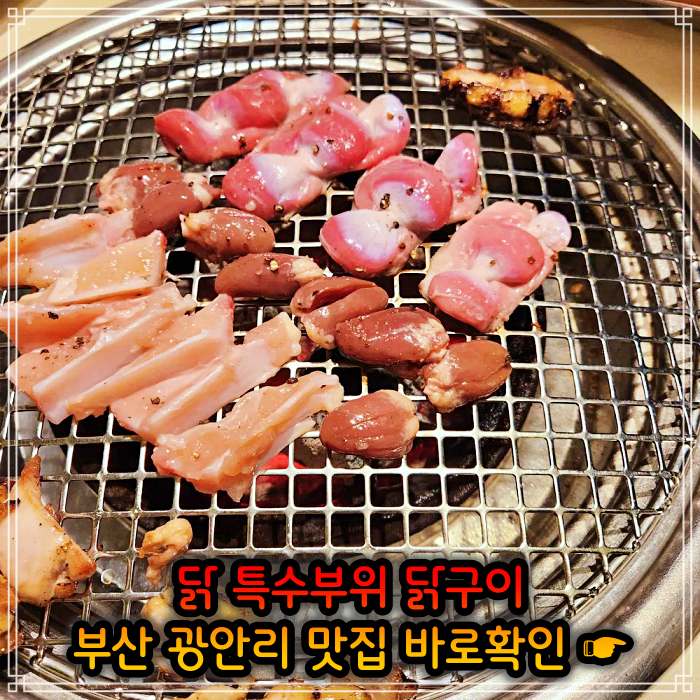 모닝 투데이 부산 광안리 닭고기 모둠구이 맛집